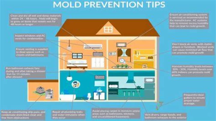 How do you prevent mold in your home?