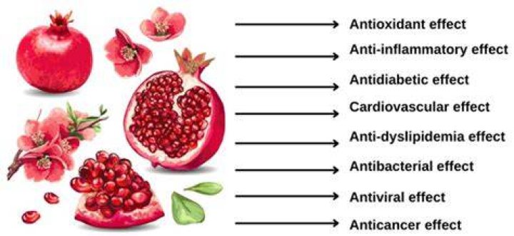 How do you protect pomegranate fruit?