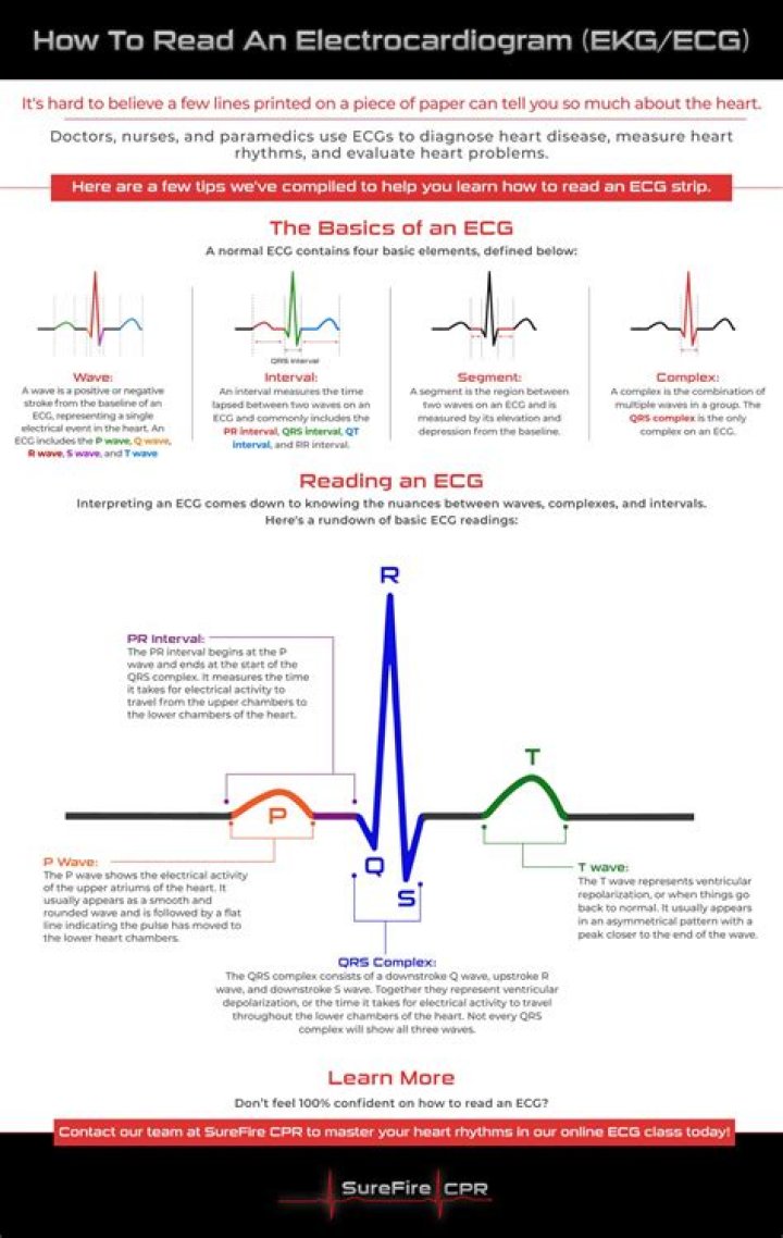 How do you read a lifeline?