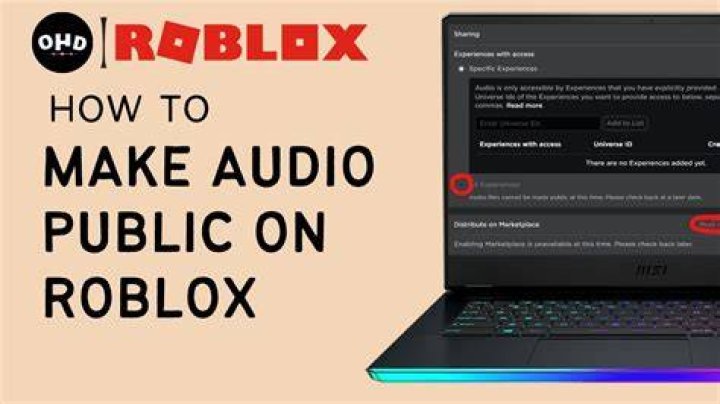 How do you record audio on Roblox?