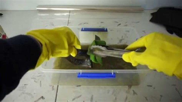 How do you remove acetone from plastic?