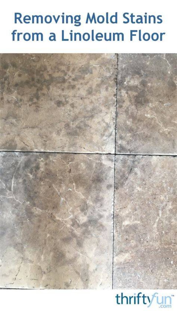 How do you remove mold from linoleum floors?