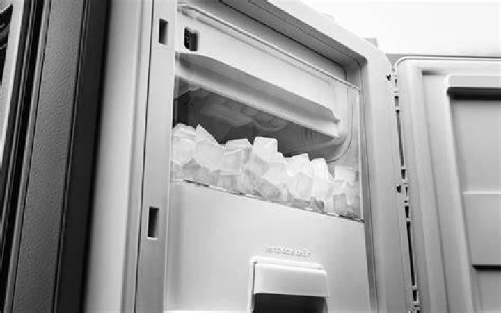 How do you reset the filter on a Sub Zero ice maker?