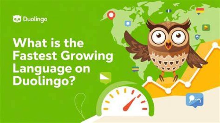 How do you reset your language on duolingo?