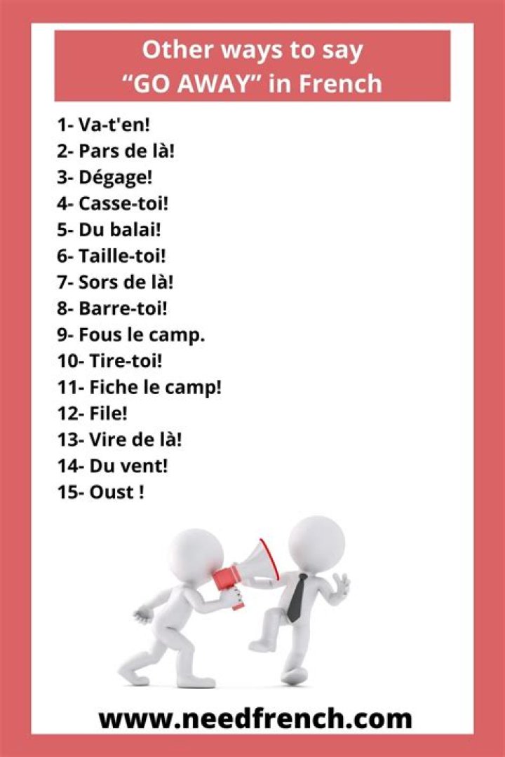 How do you say fashionista in French?