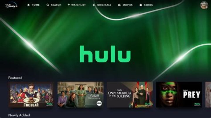 How do you search for movies on Hulu?