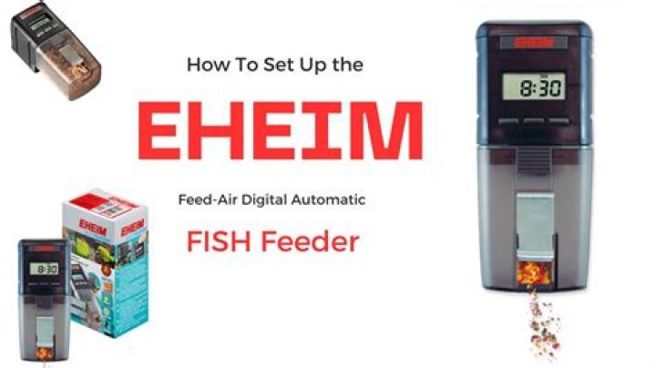 How do you set an eheim fish feeder?
