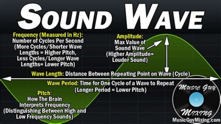 How do you show sound waves in Avid?