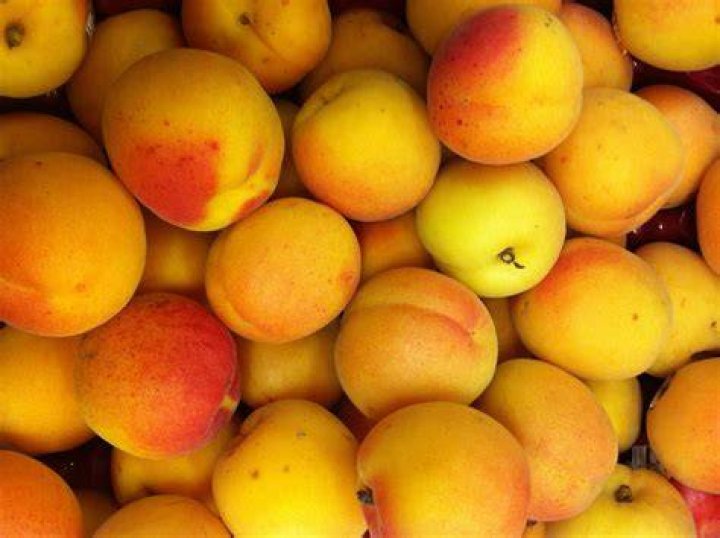 How do you store fresh picked apricots?