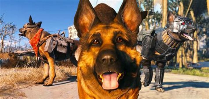 How do you summon dogmeat?