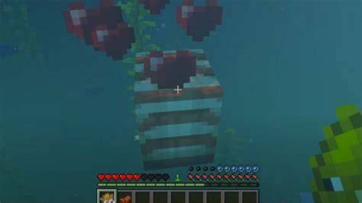 How do you tame a bear in Minecraft?