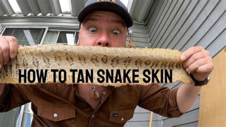 How do you tan a snake skin?
