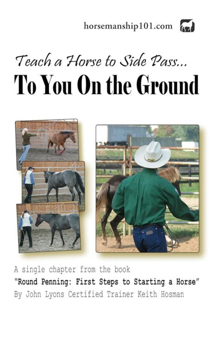 How do you teach a horse to side pass on the ground?