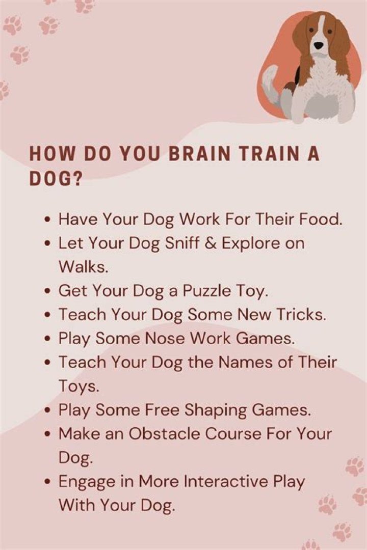 How do you train a dog brain?