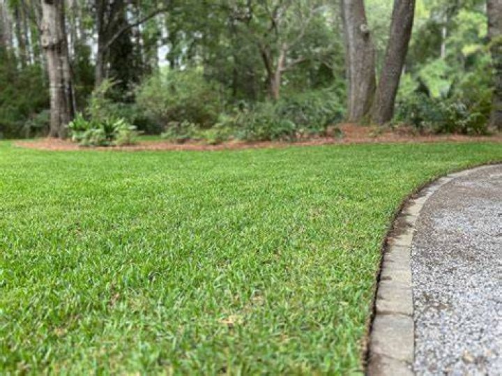 How do you treat new St Augustine sod?