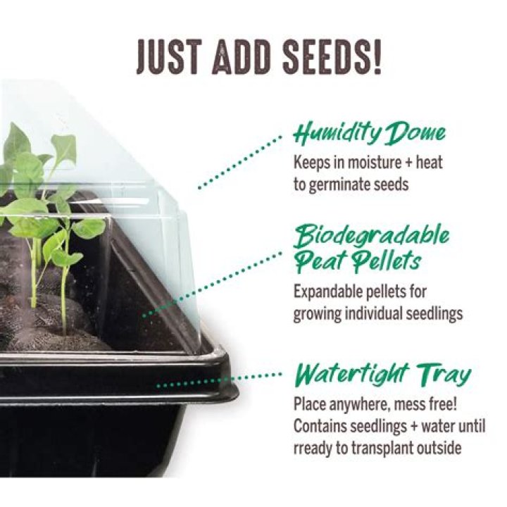 How do you use a jiffy seed starter greenhouse?