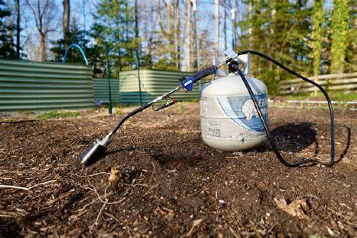 How do you use a propane torch to kill weeds?
