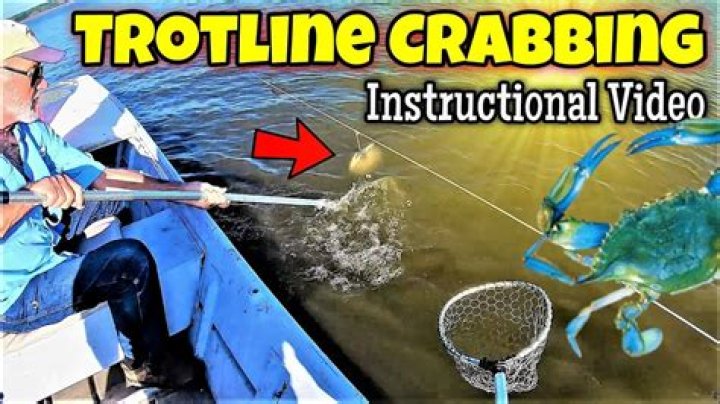 How do you use crab lines?