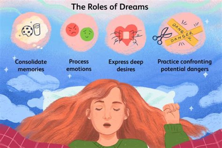 How do you use dream trip points?