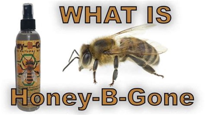 How do you use honey B Gone?