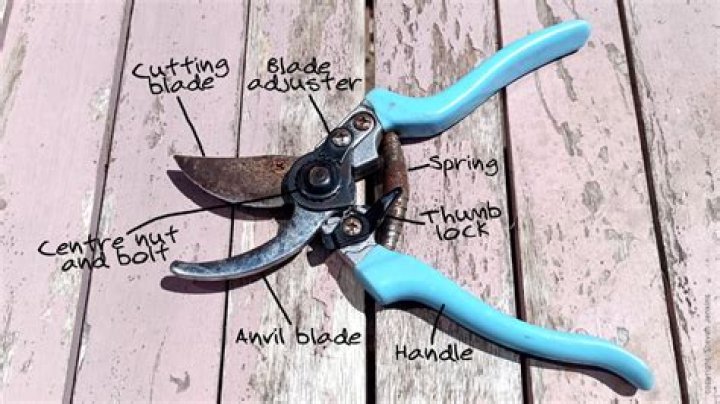 How do you use secateurs?