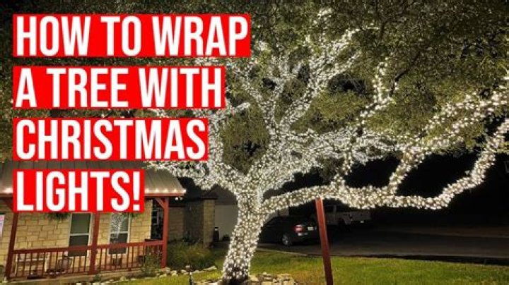 How do you wrap a large tree with lights?