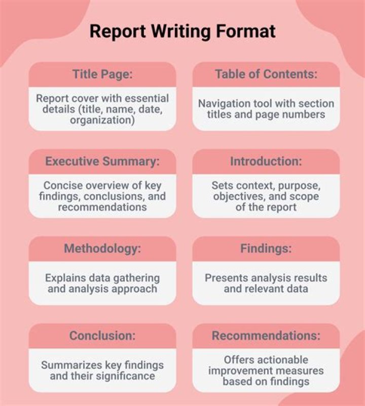 How do you write a news critique?