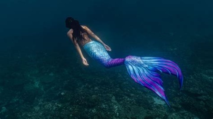 How does a mermaid look?