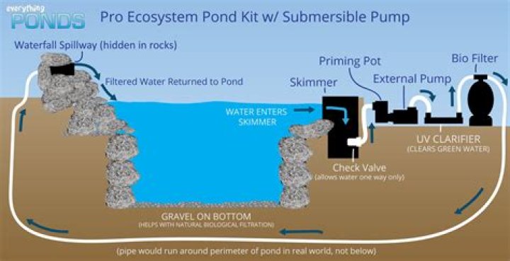 How does a pond pump and filter work?