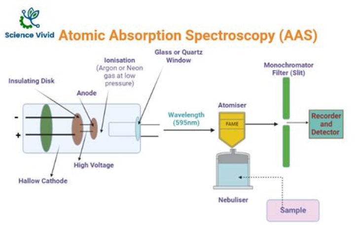 How does AAS relate to absorbance spectra?