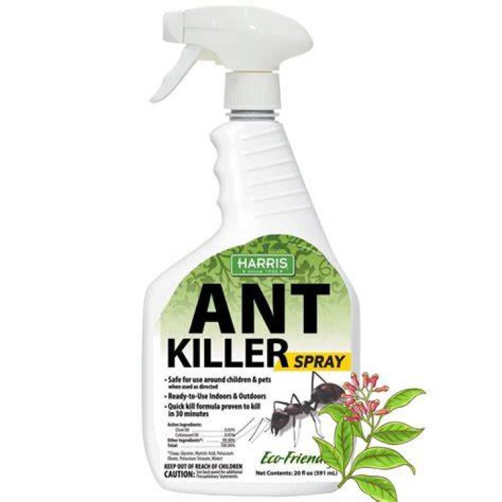 How does ant killer spray work?