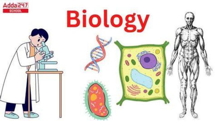 How does biology help in medicine?