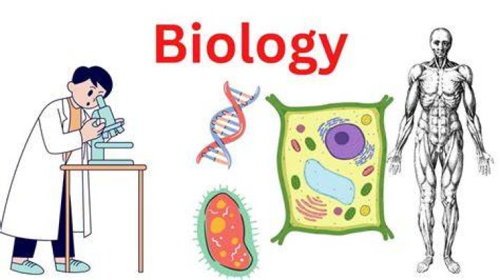 How does biology relate to your life?