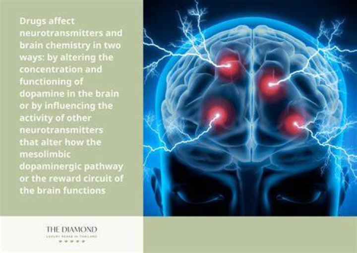 How does cacao affect the brain?