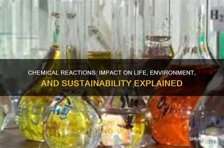 How does chemical affect the environment?