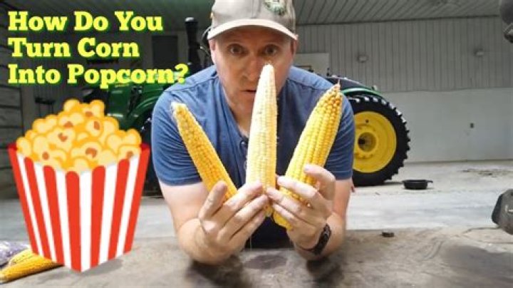How does corn turn blue?