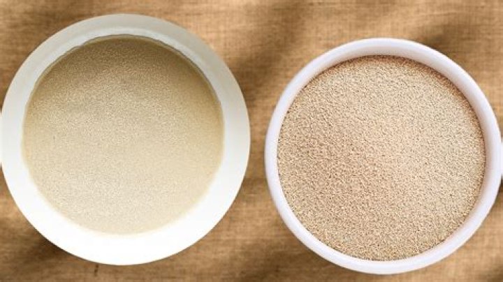 How does instant yeast work?