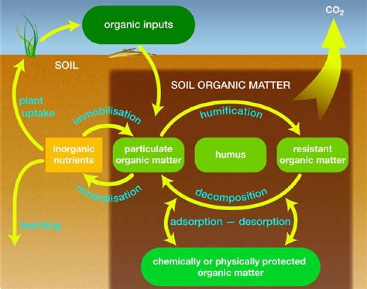 How does organic material enter soil?