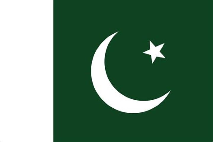 How does Pakistan flag look like?