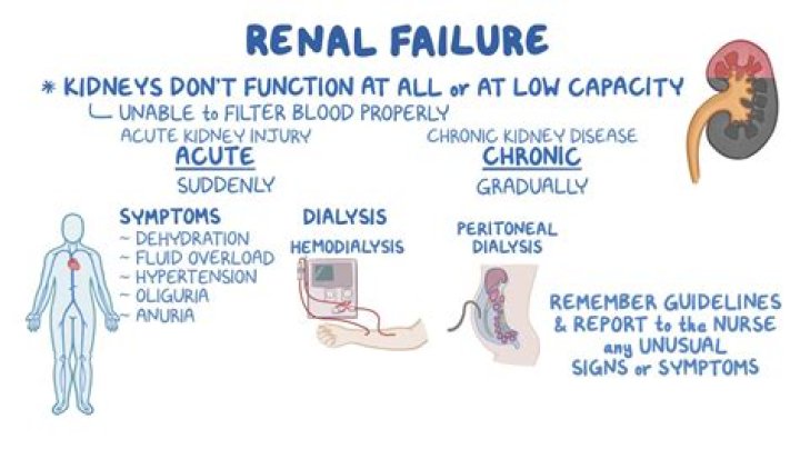 How does renal failure cause edema?