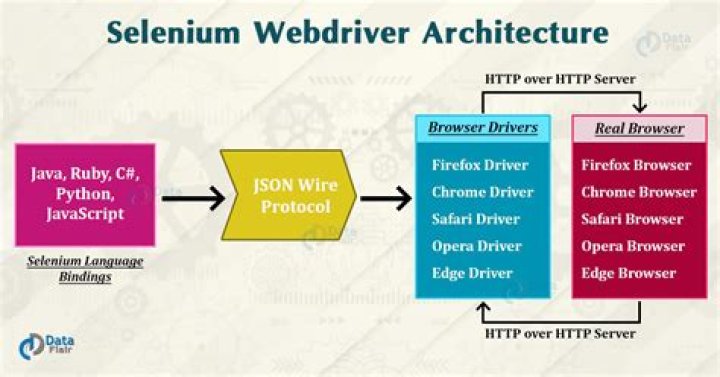 How does selenium WebDriver interact with browser?