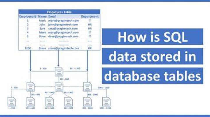 How does SQL store data?