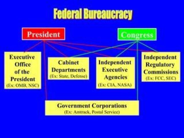 How does the president check the bureaucracy?