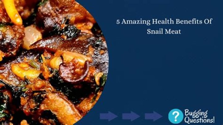 How healthy is snail meat?