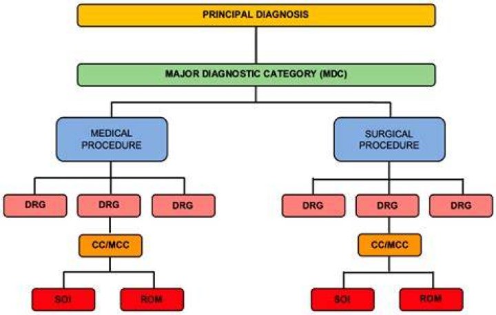 How is a diagnostic related group calculated?