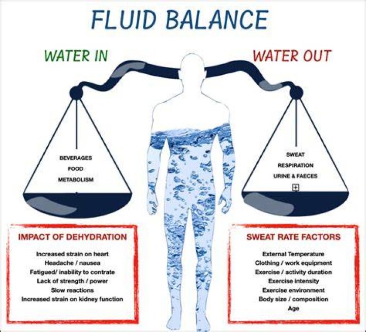 How is balance maintained in the body?
