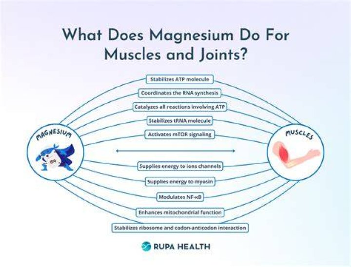 How is magnesium transported in the body?