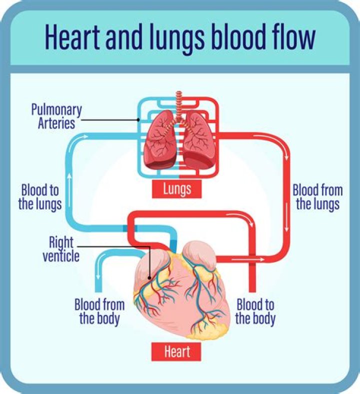 How is oxygen delivery related to blood flow?
