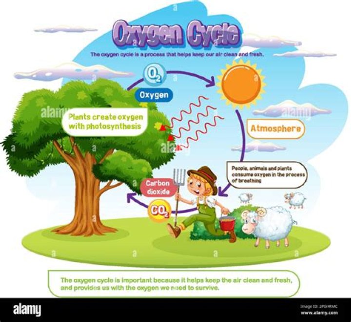 How is oxygen made for kids?