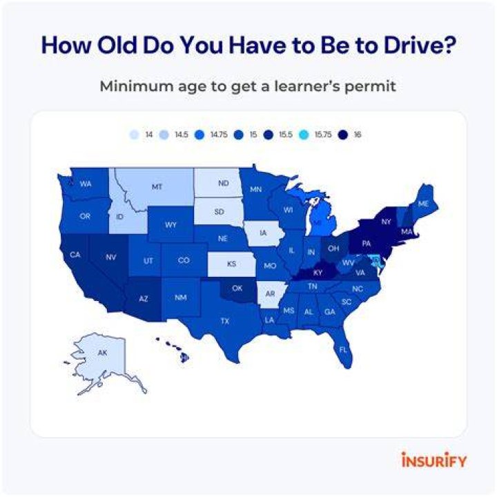 How long can you drive without plates in Texas?